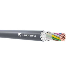 LIYCY
