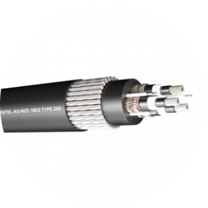 AS/NZS 1802 TYPE 260