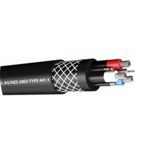 AS/NZS 2802 TYPE 441.1 (Class 2)