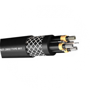 AS/NZS 2802 TYPE 441 (Class 1)