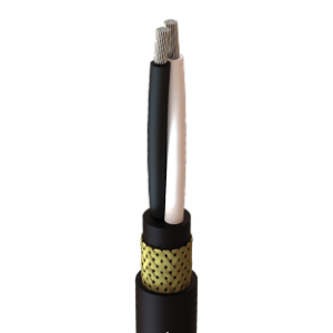 Two Conductor Power Cables 0,6/1kV Armoured & Sheated