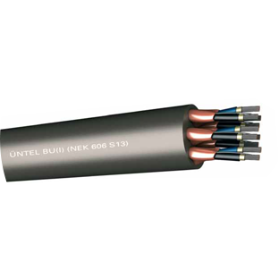 BU(I) (NEK 606 S13)