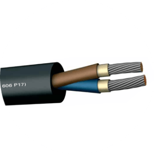 BU (NEK 606 P17)